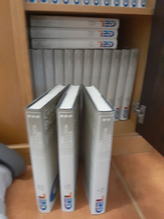 Enciclopedia Larousse Gel