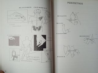 LIBRO 'LA SALUD DEL DEPORTISTA'