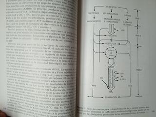 LIBRO 'LA SALUD DEL DEPORTISTA'
