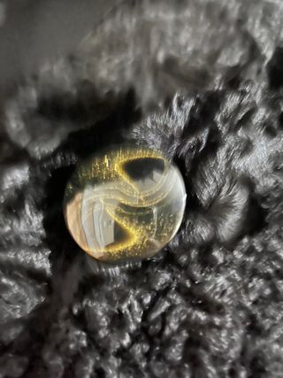 abrigo de garras Astracan