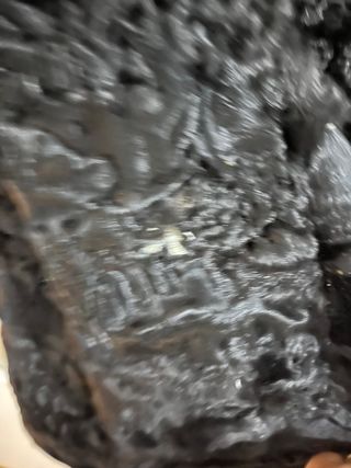 abrigo de garras Astracan