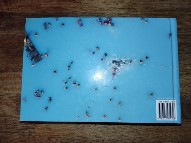 Earth from above 365 days