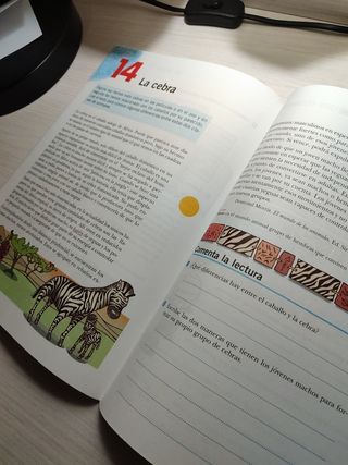 Lengua Primaria 4, Deja Huella