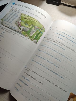 Lengua Primaria 4, Deja Huella