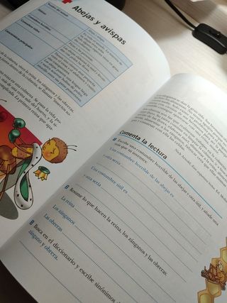 Libro de Lengua Primaria 4, Deja huella