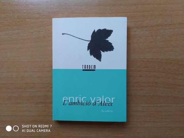 L'ambició d'Aleix