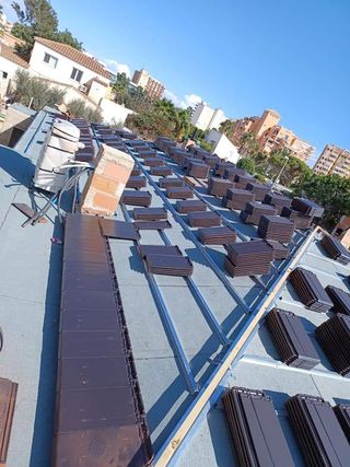 Cubiertas y tejas TLF.651429938