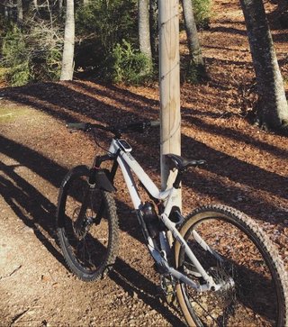 Commencal meta TR 29 origin