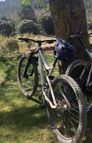 Commencal meta TR 29 origin