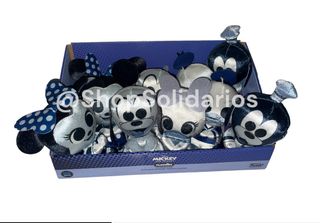 Disney USA Nuevo Solidario