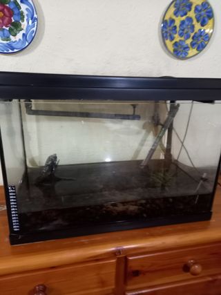 Acuario completo 