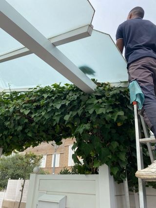 🔻Limpieza de cristales / Placas solares🔻