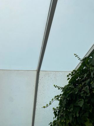 🔻Limpieza de cristales / Placas solares🔻