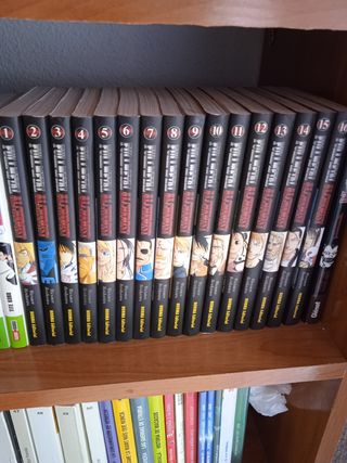 Manga incompleto de Full Metal Alchemist