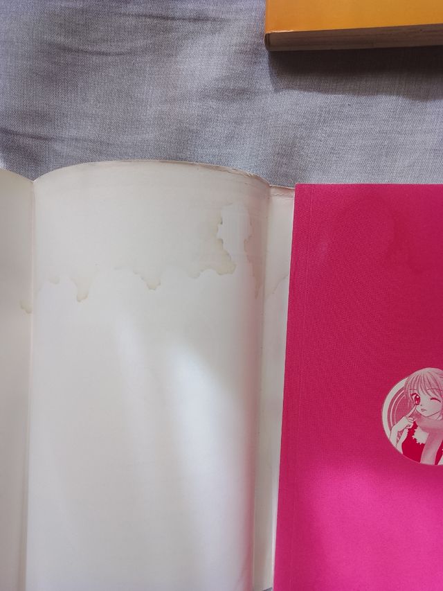 Ultra maniac (manga completo)