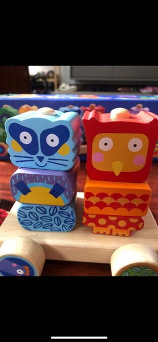 Tren de madera Djeco