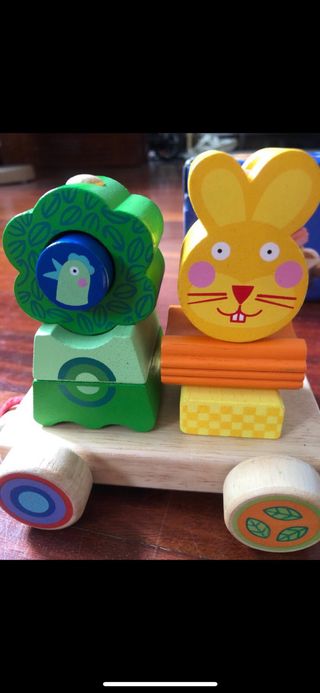 Tren de madera Djeco