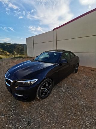 BMW Serie 2 2014