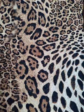 Camiseta mujer Bershka