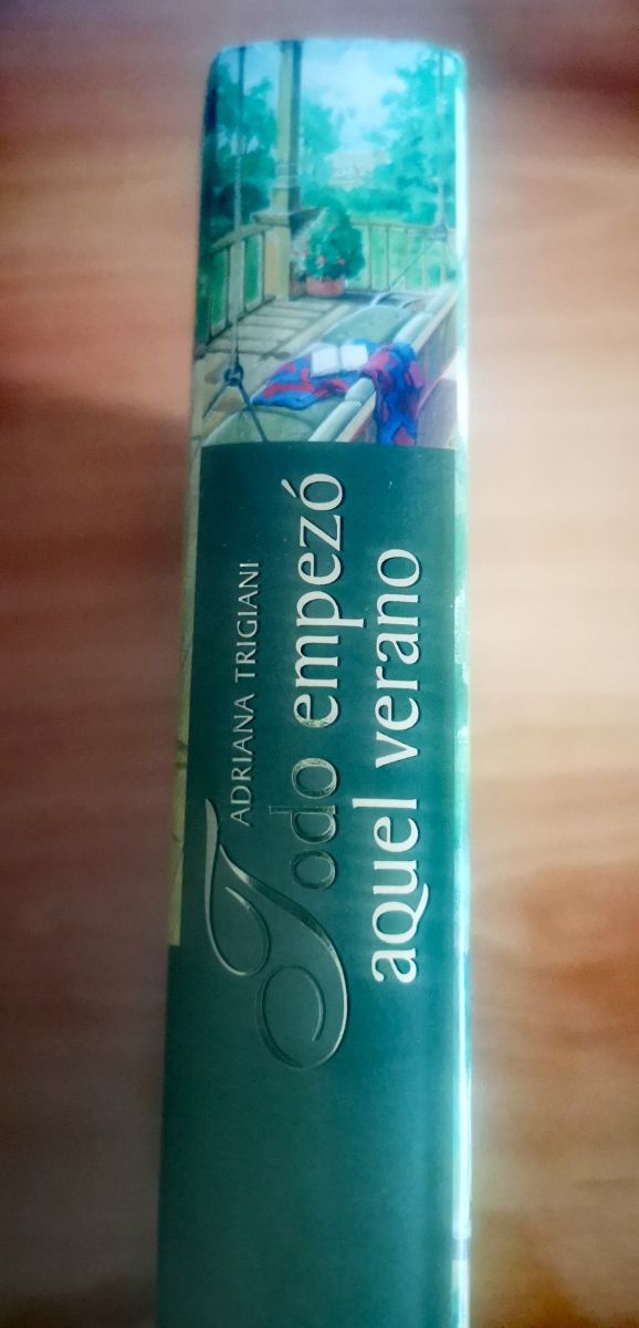 TODO EMPEZÓ AQUEL VERANO