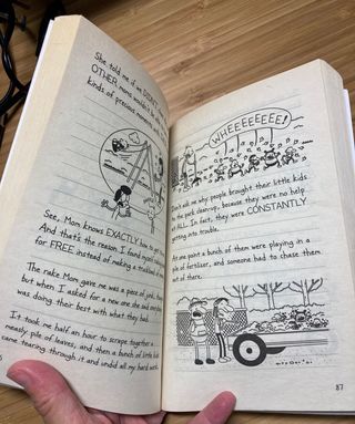 Libro: Diario de Greg 10 en inglés