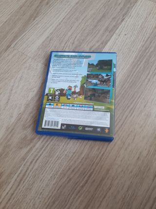 Minecraft ps4
