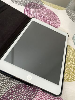 iPad Mini 1ª Gen 16gb