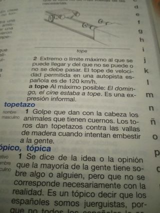 Diccionario Lengua Española