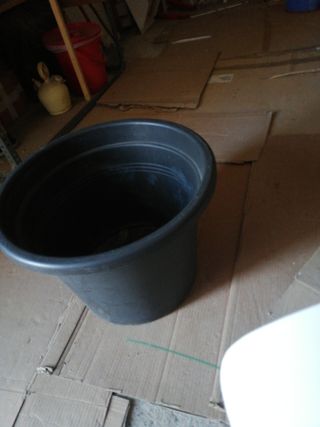 Maceta grande