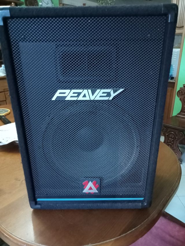 Casse acustiche Peavey