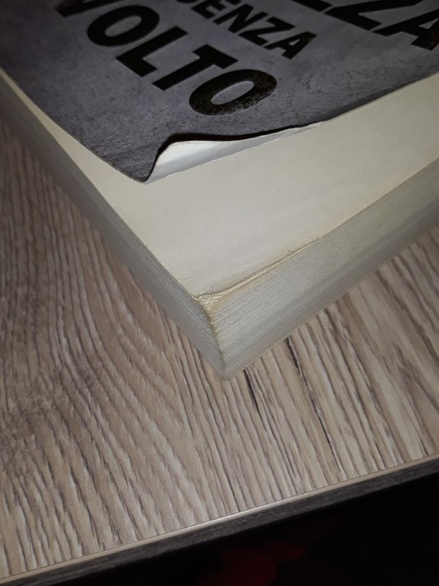 La ragazza senza volto