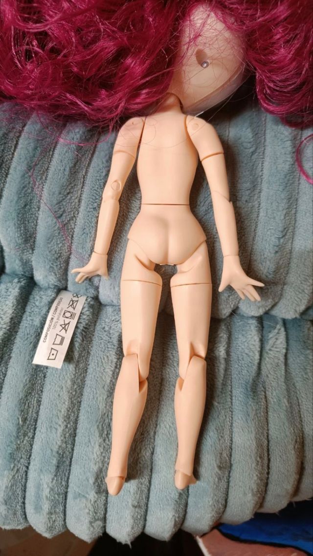 Blythe fake con cara mate y cuerpo pure neemo