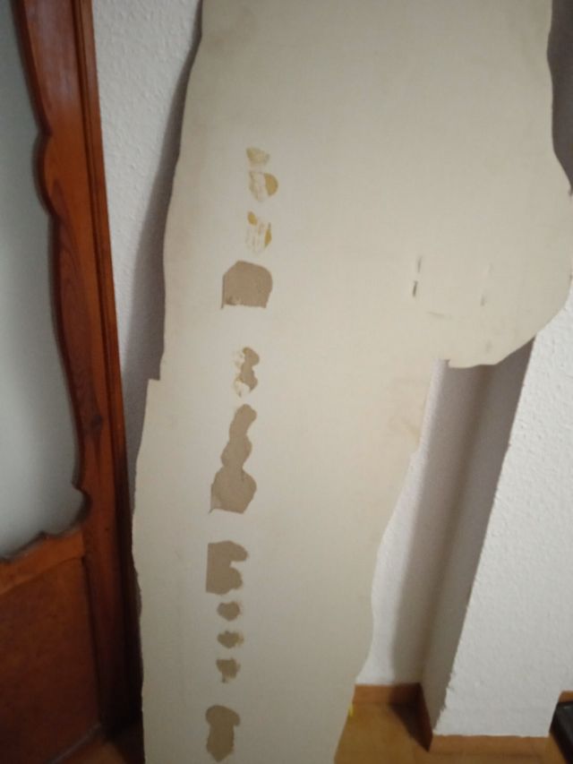 Cinta VHS y carton  2 mt Magic Earvin Johnson