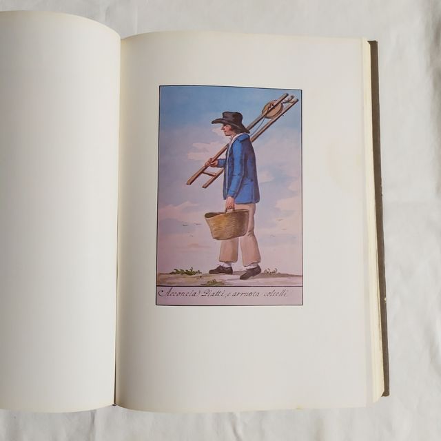 Storia della Sicilia volume settimo