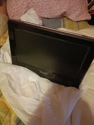 Pantalla televisión portátil.