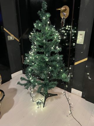 albero di natale con luci