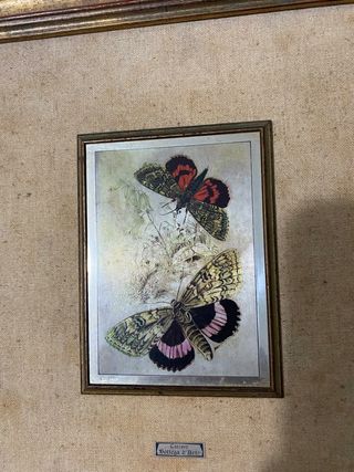 Quadro con rifiniture in argento