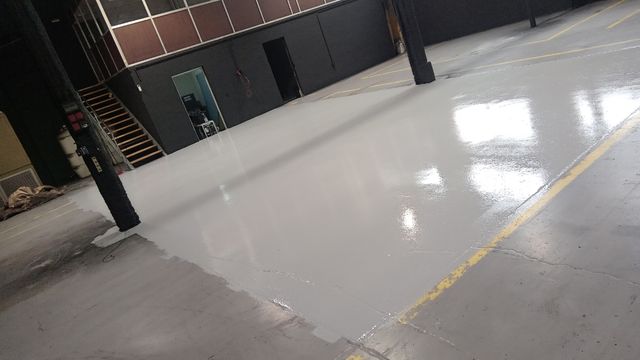 Pintor profesional económico