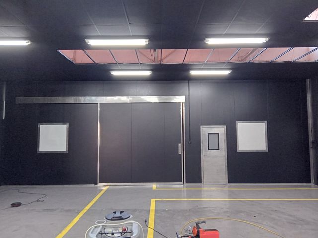 Pintor profesional económico