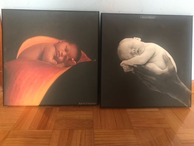 cuadros Anne Geddes