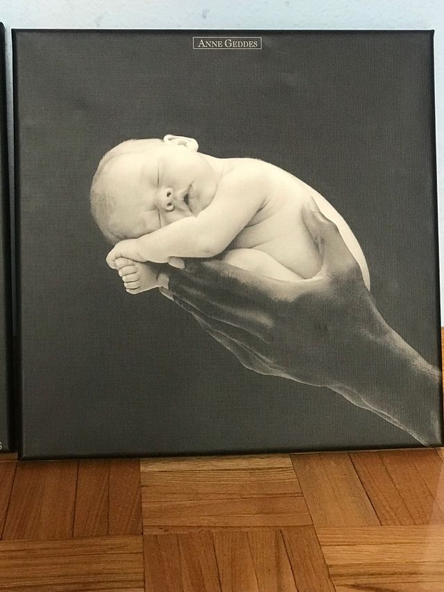 cuadros Anne Geddes
