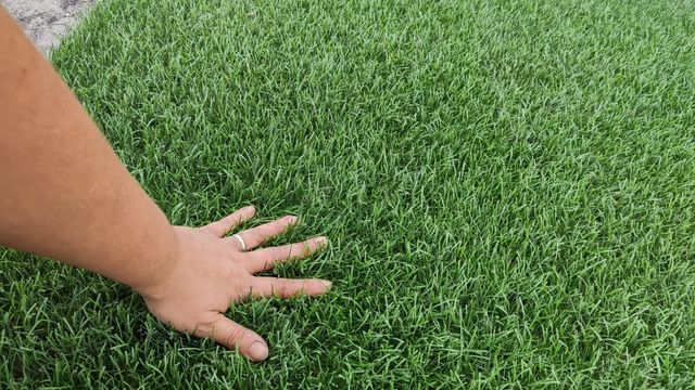 OFERTÓN!! CÉSPED ARTIFICIAL DE CÁLIDAD