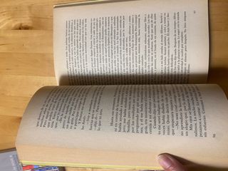 El peregrino de Compostela (Diario de un mago)