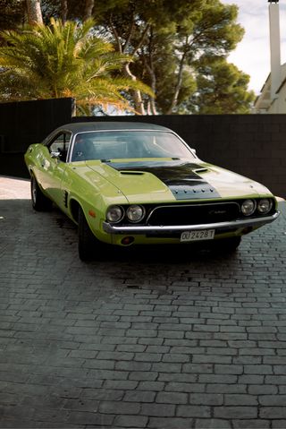 Dodge Challenger 1980