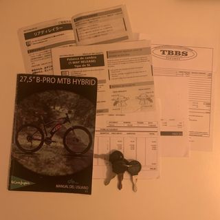 Bici Electrica BPro Hybrid 350 MTB