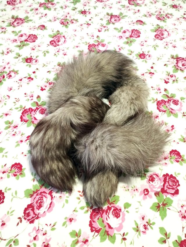 BOA GRIS DE PIEL 🩶