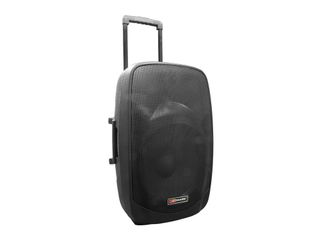 PORTÁTIL PRO MARK MAM 152 BT 2 MICRÓFONOS DE 15 "