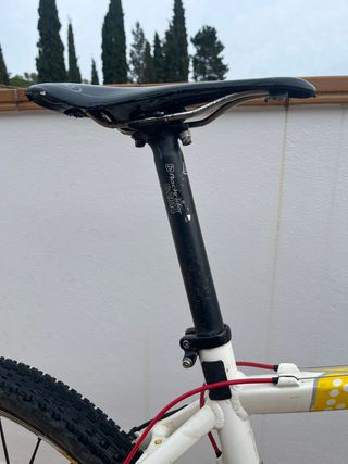 Bicicleta MTB talla M vitaminada