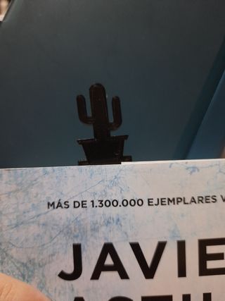 2 Marcapaginas 3€ Cactus Impresora 3D