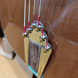 Guitarra Gipsy Aiersi